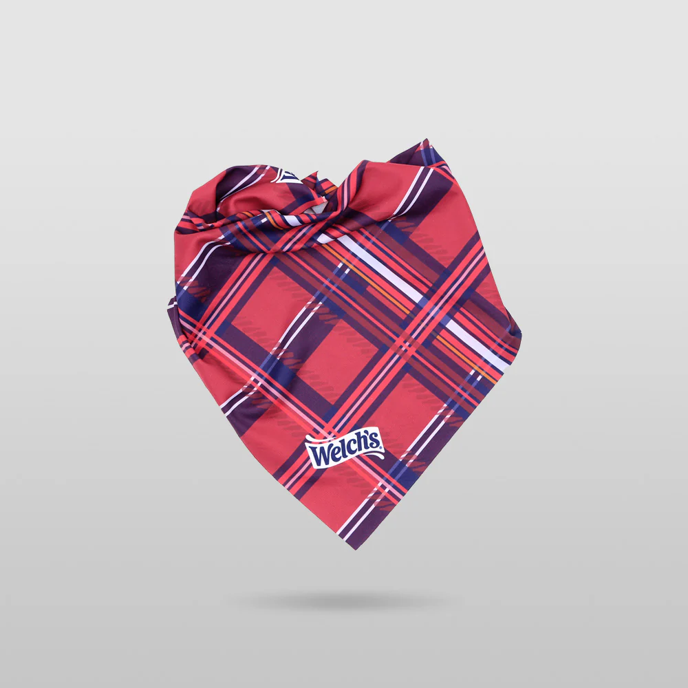 Welch's Holiday Pet Bandana - Image 3